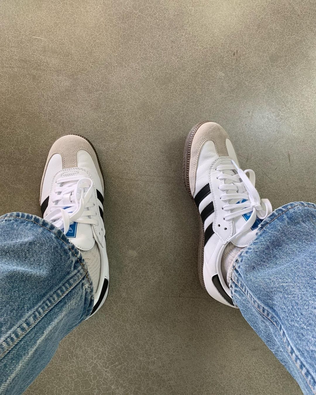Adidas Samba Og Cloud White Black (UA QUALITY)
